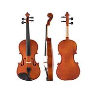Violino 4/4 Strumento A Strisce A Schermo Intero Strumento Acustico Violino Acoustic Professional Musical Strument Handmade Violino