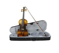 Violino 4/4 Violino Acustico Elettrico Opaco In Legno Massello Con Custodia Accessori Per Arco Strumenti A Corda Professionali