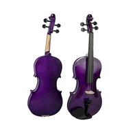 Violino 4/4 Violino Studente Tastiera in Ebano Tiglio KIT Custodia per Ponte Arco Colore Viola Acustico