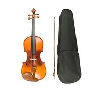 Violino A Grandezza Naturale 4/4 In Legno Massello Di Abete Rosso Acustico Violino Per Studenti Principianti Esecutore Legno Di Giuggiola Con Custodia