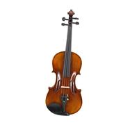 Violino A Grandezza Naturale Con Vernice A Base Di Olio Violino Principianti