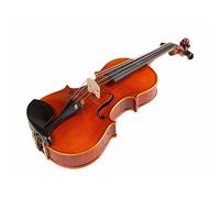 Violino A Tavola Singola In Acero Con Strisce Essiccate Per Violino Antico Realizzato A Mano Per La Collezione Performance (Color : 4/4)