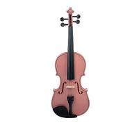 Violino Acustico 4/4 Violino A Grandezza Naturale Violino Studente Violino 4/4 Violino Per Principianti Con Custodia Corda Per Arco Resto Per Spalla Muto