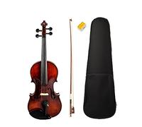 Violino Acustico 4/4 Violino In Legno Massello A Grandezza Naturale Violino Con Finitura Lucida