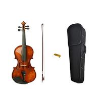 Violino Acustico 4/4 Violino Violino Finitura Lucida Con Custodia Archetto SET