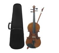 Violino Acustico Elettrico 4/4 Violino Acustico Con Corpo In Acero Con Custodia, Corde Per Arco, Poggiaspalla, Sintonizzatore (Color : Violin Set 1)