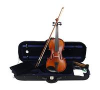 Violino Acustico In Acero Antico Opaco Parti Di Ebano Studenti A Grandezza Naturale Violino Per Principianti 1/4,1/2,3/4,4/4 violino principianti(1/2)