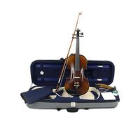 Violino Acustico In Acero Fiammato, Violino Antico Fatto A Mano, Dimensioni Complete, 1/4,1/2,3/4,4/4, Parti In Ebano Con Custodia E Arco (Color : 1/2)