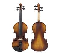 Violino Acustico Professionale in Legno Massello 4/4 con Custodia per Arco Strumento A Corde Violino Studenti Principianti