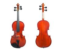 Violino Acustico Violino 4/4 Kit Violino Per Principianti Realizzato A Mano In Legno Massello Con Custodia Per Il Trasporto Ponte Ad Arco (Color : B)