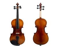 Violino Acustico Violino 4/4 Kit Violino Per Principianti Realizzato A Mano In Legno Massello Con Custodia Per Il Trasporto Ponte Ad Arco (Color : D)