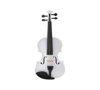Violino Bianco Tutto Bianco Violino Bianco E Nero