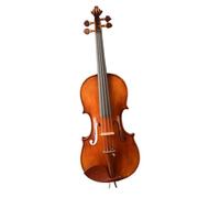 Violino di dimensioni standard per esibizioni professionali o da solista
