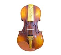 Violino Disegno Sul Retro Master 5 Corde 4/4 Suono Resiliente