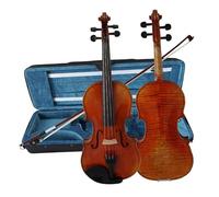 Violino Elettrico Violino Antico 4/4 Con Custodia E Archetto In Legno Brasiliano