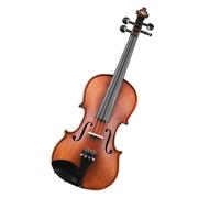 Violino Esame del livello di performance del violino Principianti Pratica Performance per adulti Come iniziare (Color : 4/4)