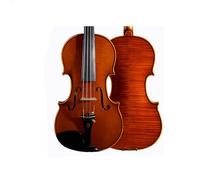 Violino Esame di valutazione professionale del violino per la fase di esibizione per adulti