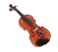 Violino Fatto A Mano 4/4 Studenti Adulti Principianti Performance Acero Violino Strumento Musicale Professionale Con Parti (Color : Violin Set)