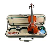 Violino Fatto A Mano A Grandezza Naturale 4/4 Violino Acero Fiammato Solido Violino Violino con Custodia Corde per Arco Intero Set