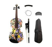 Violino Fiori Dipinti Violin 4/4 Raccordi Per Ebano Maple Strumenti Per Violino Violino Acustico Violino