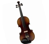 Violino Flame Back 4/4 Palissandro Ebano Accessori(3/4)