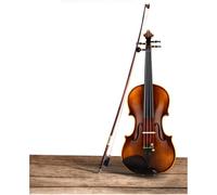 Violino I principianti dell'esame professionale di violino praticano violini in legno massello fatti a mano (Color : 4/4)