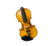 Violino Il Violino 4/4 Ha Un Intarsio Dipinto Sul Retro E Suona Benissimo