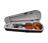 Violino Il Violino In Legno Massiccio Per Principianti Adulti Include Una Custodia Triangolare(Glossy - Natural Color 4/4)