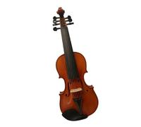 Violino In Legno Violino 4/4 Professionale A 7 Corde Fatto A Mano Con Un Bel Suono