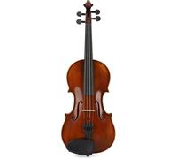 Violino liuteria gewa georg walther fiammatura pregiata