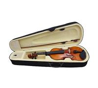 Violino Lucido In Legno Massello Strumento Per Violino Top In Abete Fondo E Fasce In Acero (Color : 4/4)