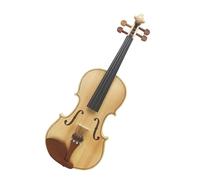 Violino Pannello in acero color legno di violino acustico 4/4Violino con custodia Corde per arco Spalliera in tessuto sintonizzatore (Color : Set 2)