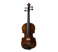 Violino Per Adulti Fatto A Mano In Legno Con Venature Del Serpente 4/4 3/4 1/2 1/4 1/8 1/10 Strumento Per Violino (Color : 1/10)
