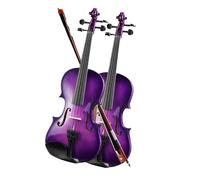 violino per principianti I Principianti Del Violino Viola Si Esercitano Nel Violino Per L'esame Di Grado (Color : 3/4)