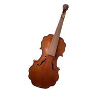 violino per principianti Pannello Per Violino A Grandezza Naturale Con Retro Acustico, Bellissimo Pannello In Acero