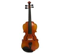 Violino Per Principianti Violino 4/4 Di Esecuzione Professionale Bellissima Musica