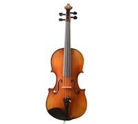 Violino per principianti Violino Rosso 4/4 Con Archetto E Custodia Per Principianti Verniciata A Mano Con Il Miglior Tono