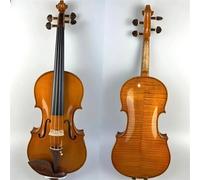 Violino Per Principianti Violino Solista Di Scena 4/4(3/4)