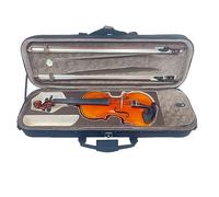 Violino Per Strumenti Da Giocatore Dell'industria Delle Venature Del Legno Di Violino Squisito Realizzato A Mano