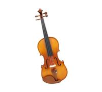 violino Piccolo Violino In Legno Di Giuggiolo Strumento Acustico Di Dimensioni Standard Con Accessori(3/4,1/2)