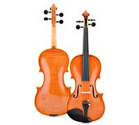 Violino Principiante adulto professionista di classificazione del violino che suona un set a grandezza naturale (Color : 1/2)