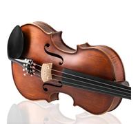 Violino Principianti Che Suonano Il Violino Pratica E Introduzione Alle Prestazioni(1/4)