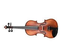 Violino Principianti Che Suonano Il Violino Pratica E Introduzione Alle Prestazioni(1/8)