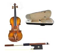 Violino Professionale 4/4 Violino Fatto A Mano Strumenti Musicali In Legno (Color : 01)