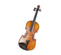 Violino Professionale Archetto Di Violino Fatto A Mano In Legno Del Brasile Modello Mat Strumento Musicale 4/4(1/2)