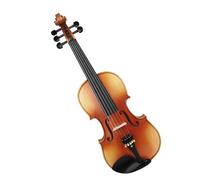 Violino professionale Livello di esecuzione dello strumento violino 4/4(Type 1)