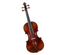 Violino realizzato professionalmente(1/4)