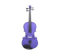 Violino Rosa 4/4 Pannello in Acero per Principianti Violino Adatto Corso di Musica Ornamento di Studio con Parti Pratiche (Color : Purple)