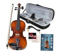 Violino Set Di 4/4 A Grandezza Naturale Con Valigia E Accessori Accessori In Acero Massiccio Ed Ebano