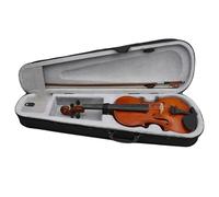Violino Set Di Violino 4/4 Realizzato Professionalmente Adatto Per Esercitazioni Ed Esibizioni
